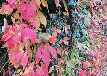 Vyšla výroční zpráva za rok 2024