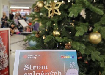 Strom splněných přání pro rodiny v nouzi