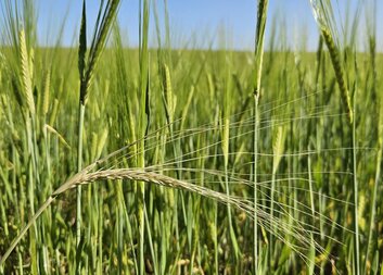 Letní výdej materiální pomoci